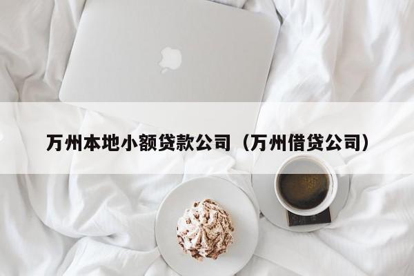 万州本地小额贷款公司（万州借贷公司）