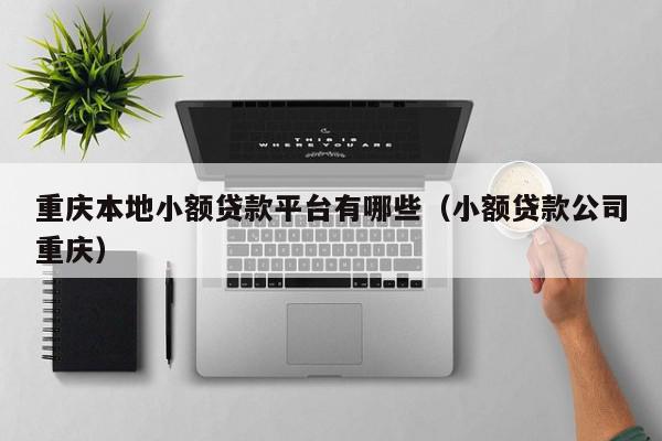 北京本地小额贷款平台有哪些（小额贷款公司北京）