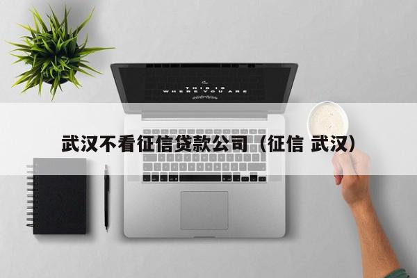 武汉不看征信贷款公司（征信 武汉）