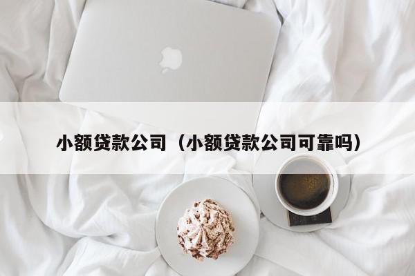 小额贷款公司（小额贷款公司可靠吗）