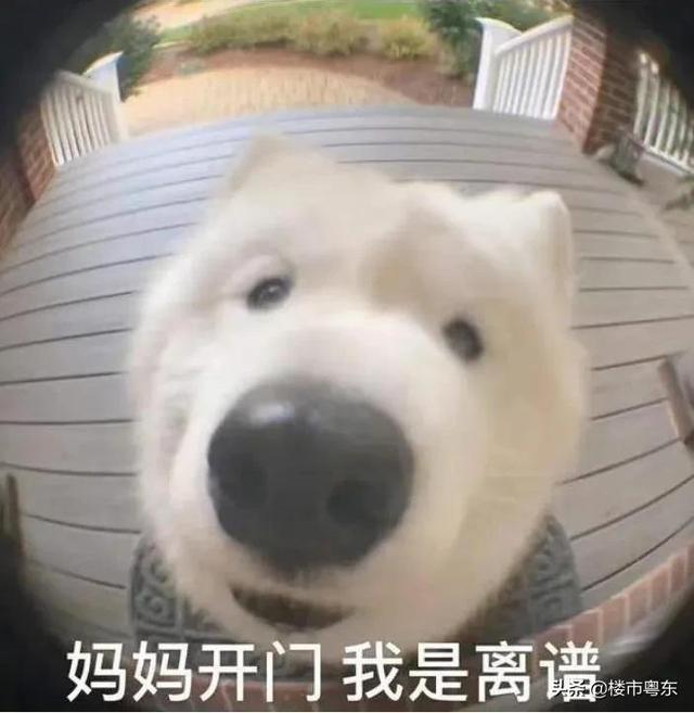 放款快了！利率却涨了！汕头多家银行二套破6％